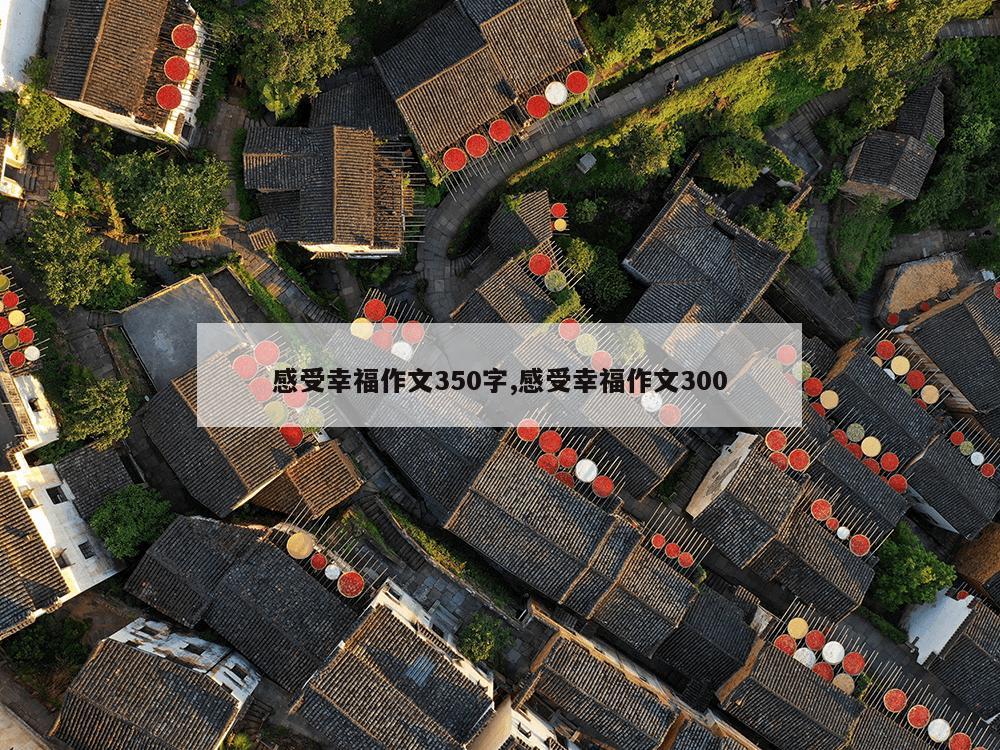 感受幸福作文350字,感受幸福作文300