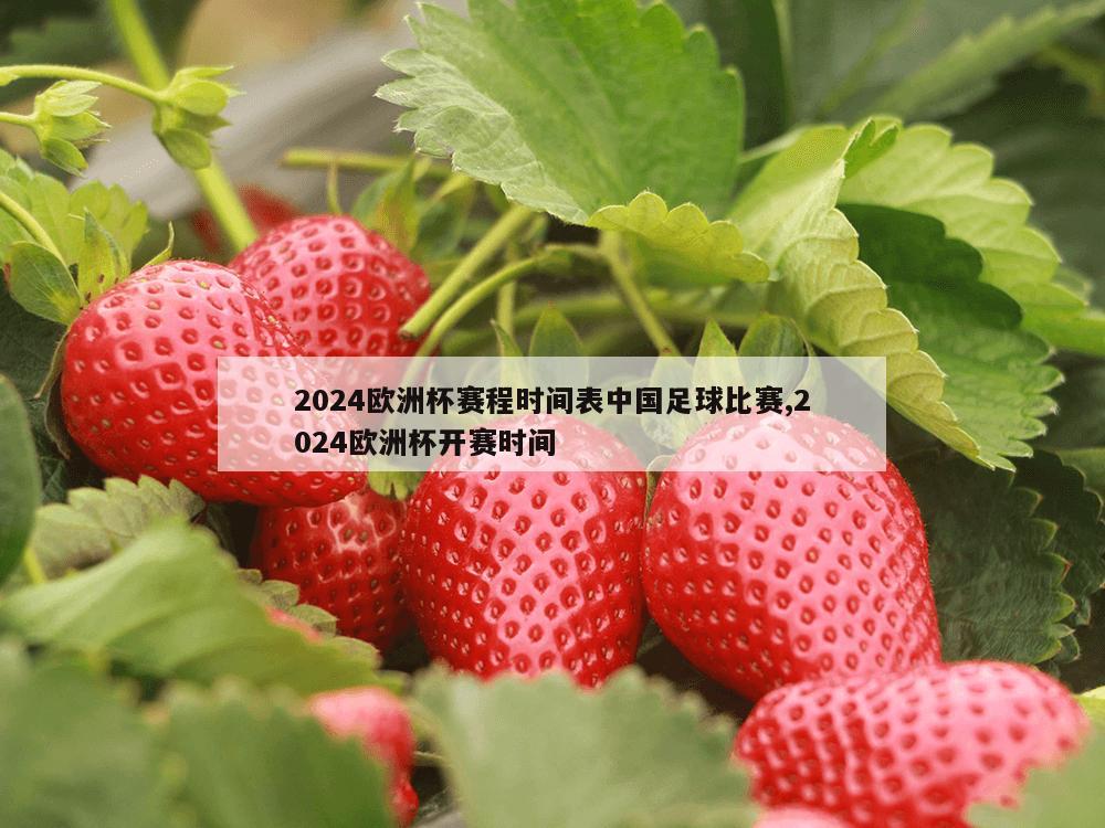 2024欧洲杯赛程时间表中国足球比赛,2024欧洲杯开赛时间